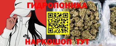 PSILOCYBIN Бугуруслан