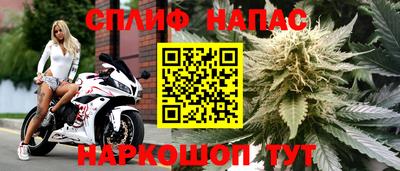 PSILOCYBIN Бугуруслан