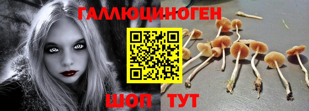 Псилоцибиновые грибы ЛСД Кыштым